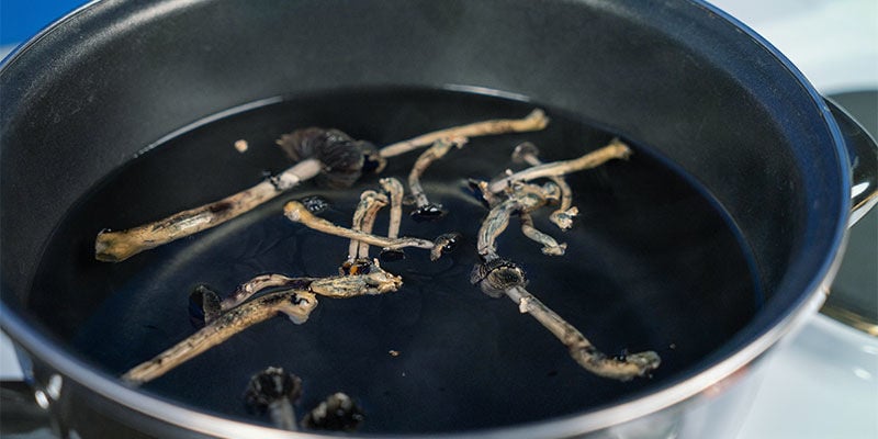 Devo cozinhar cogumelos mágicos?