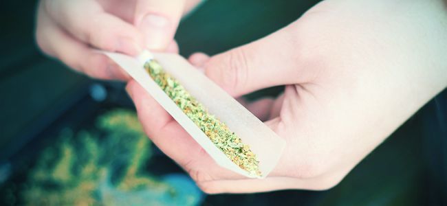 DEIXA O TABACO E FUMA APENAS CANÁBIS