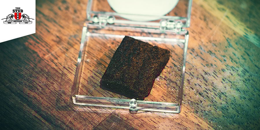 Melhor Hash - Coffeeshop The Stud Amsterdam