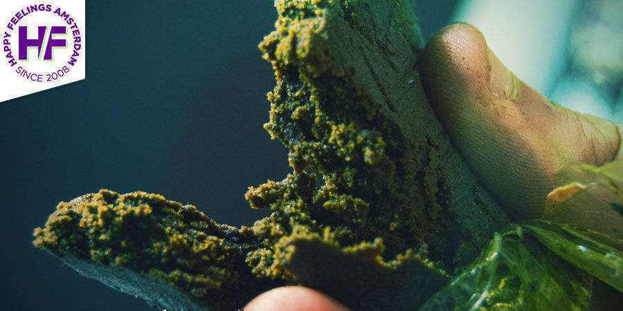 Melhor Haxixe - Happy Feelings Coffeeshop Amsterdam
