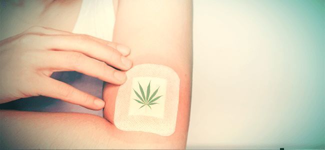 Produtos tópicos e cosméticos à base de canábis