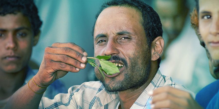 COMO CONSUMIR KHAT