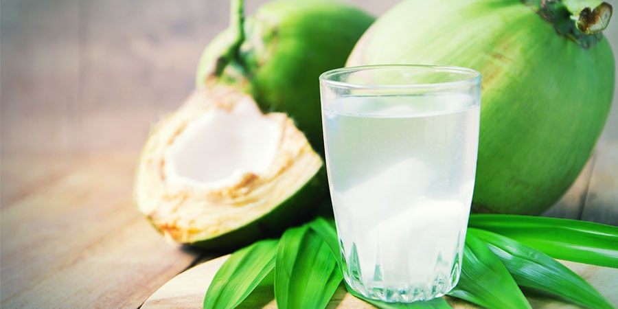 Água de coco cannabis
