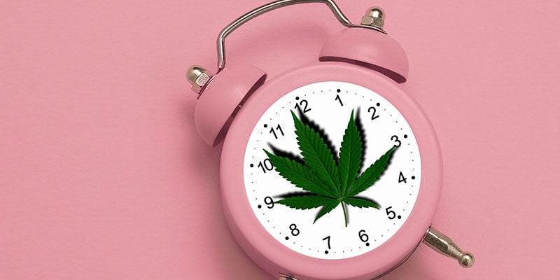 Quanto tempo permanecem os metabolitos de THC no seu organismo?