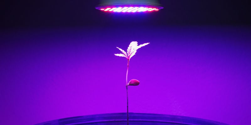 Distância e posição das luzes