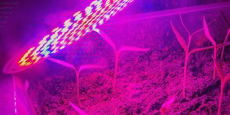 Necessidades de Energia das suas Luzes de Cultivo