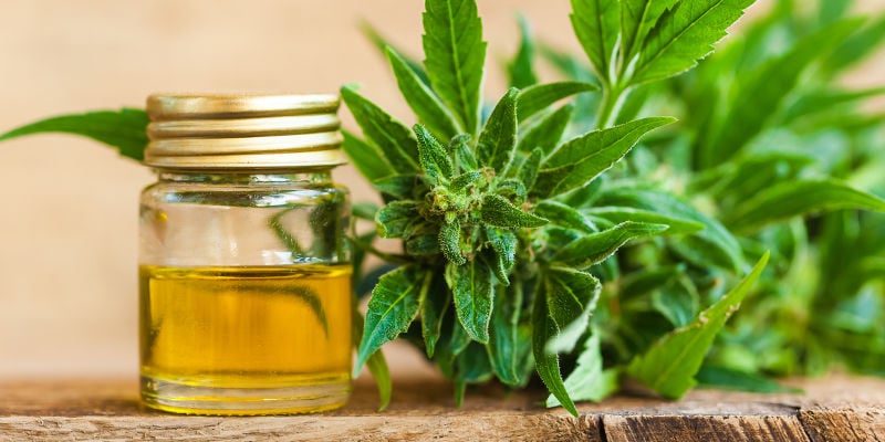 Pense em como pretende utilizar o CBD