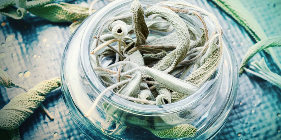Como funciona a salvia e qual a dosagem adequada?