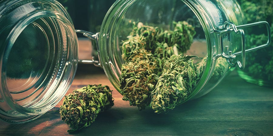 Como devo guardar a minha cannabis?