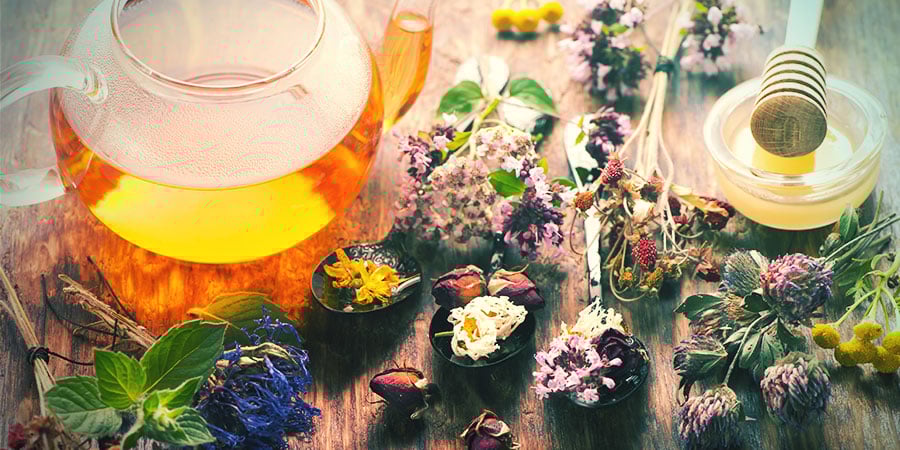 ERVAS PARA AJUDAR NA MEDITAÇÃO
