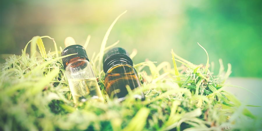 Se sente que está a cometer demasiados erros, o CBD pode ajudar
