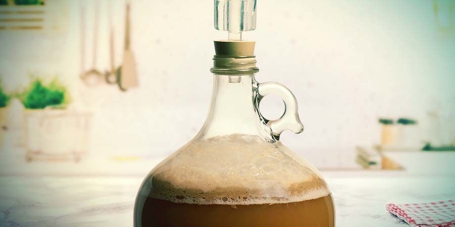Fermentador
