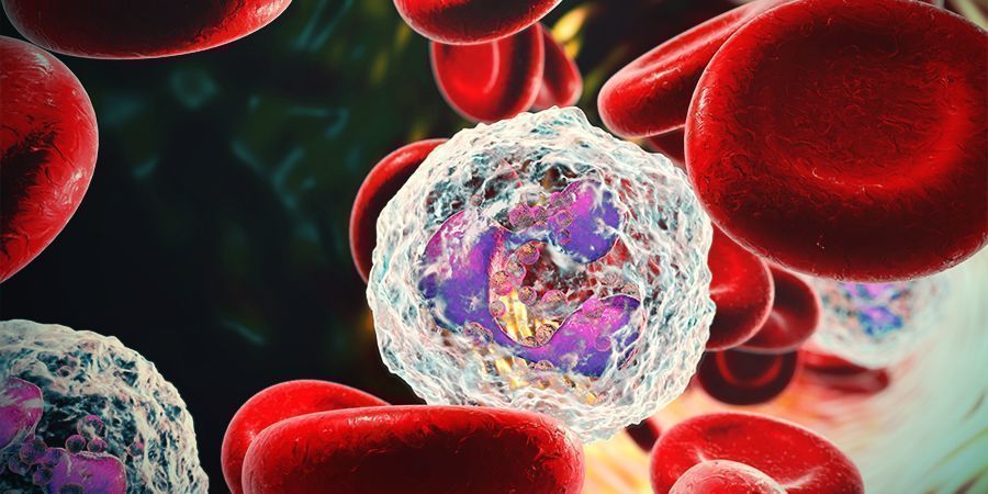 CBC e Inflamação