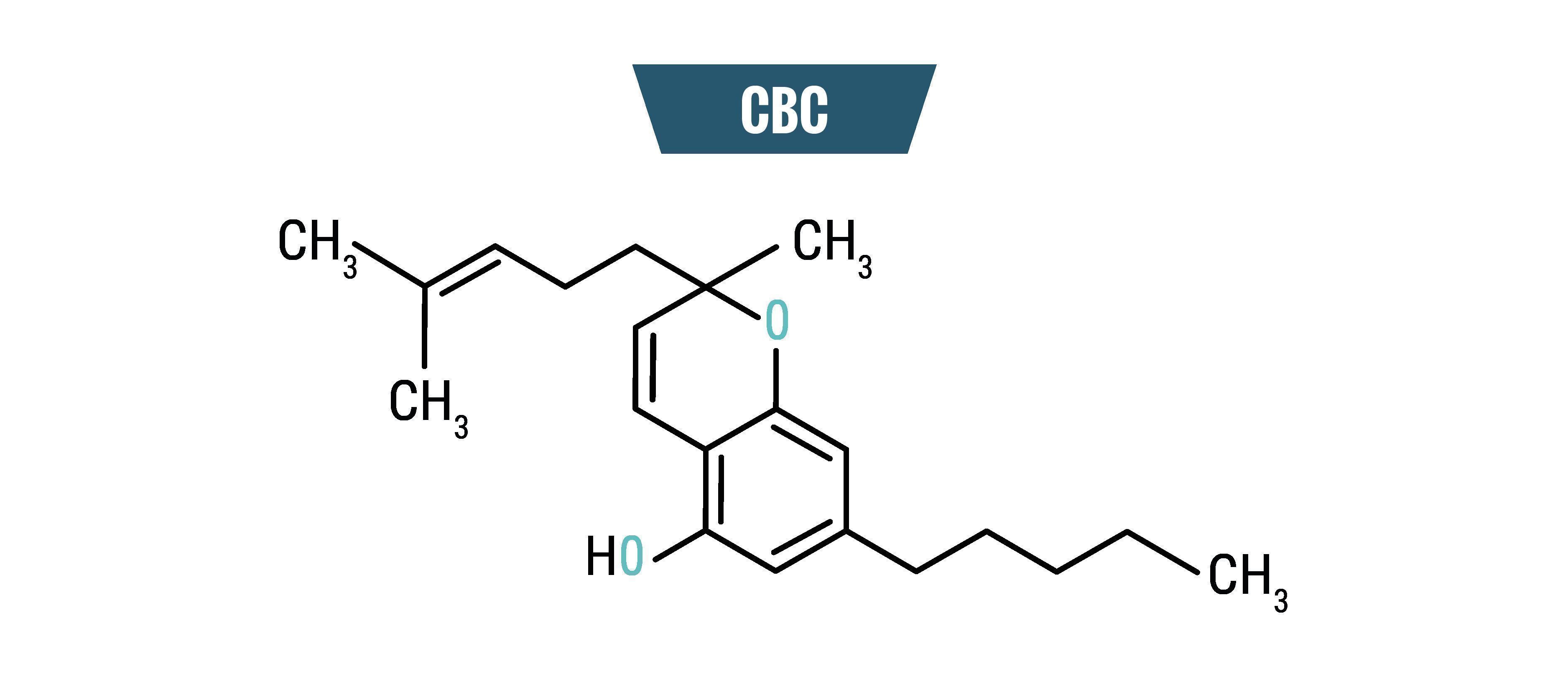 O que é o CBC