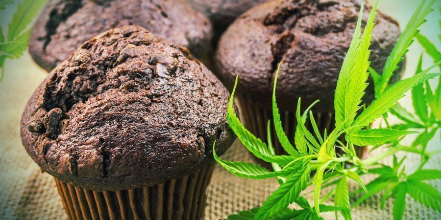 BIODISPONIBILIDADE: COMESTÍVEIS DE CANNABIS