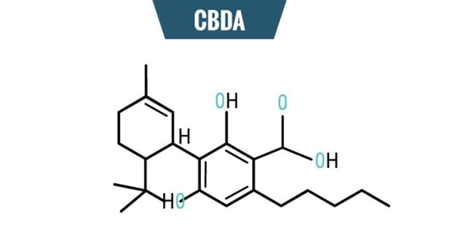 Química do CBDA
