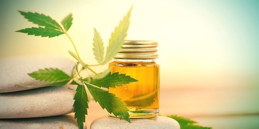 O RECENTE AUMENTO DO CBD