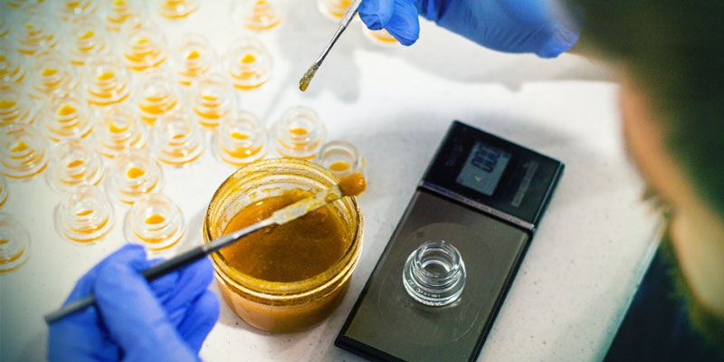 O que é live resin?