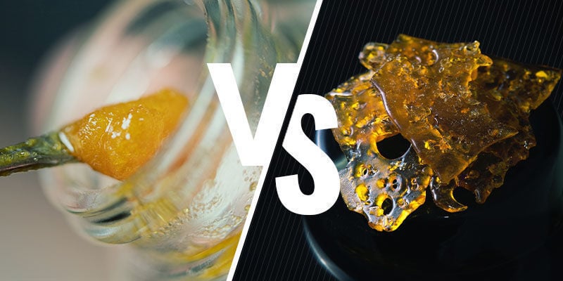 Qual A Diferença Entre Live Resin E Outros Concentrados?
