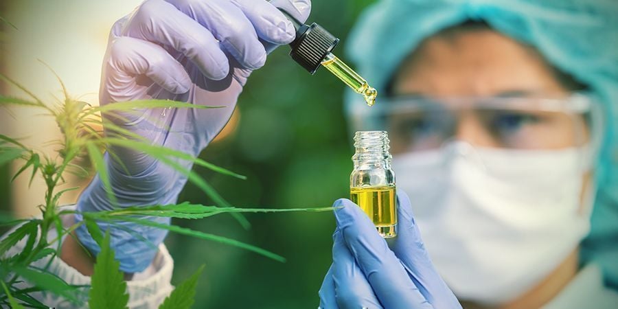 CBD liga-se aos recetores canabinóides