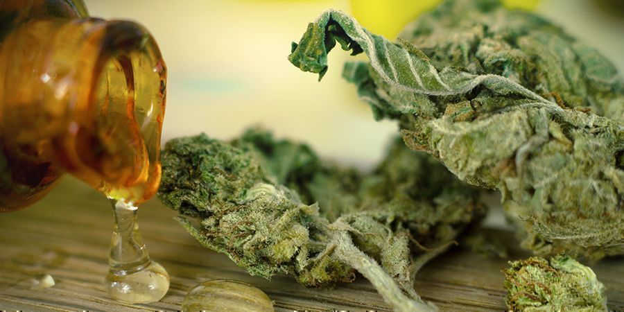 O CBD é mais eficaz quando consumido isoladamente
