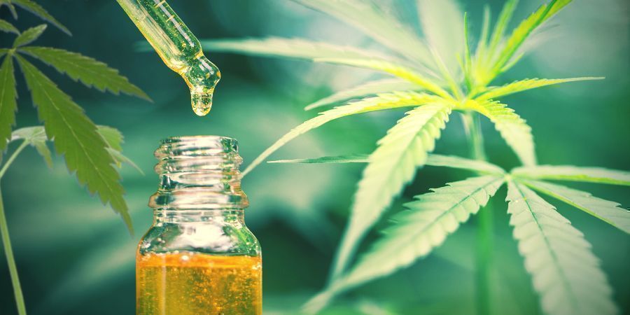 CBD é o único composto terapêutico encontrado no cânhamo/canábis
