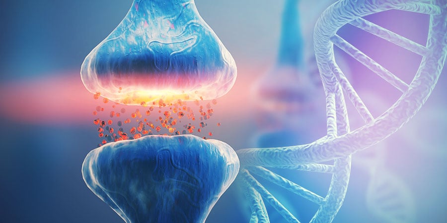 DNA E O SISTEMA ENDOCANABINOIDE