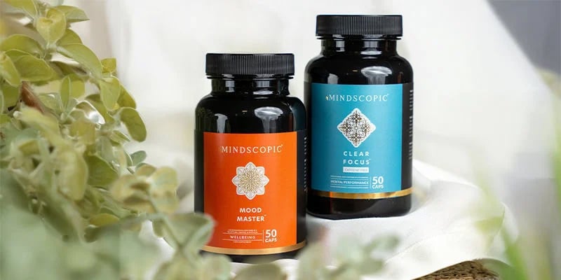 Suplementos de cogumelos Lion's Mane e outros