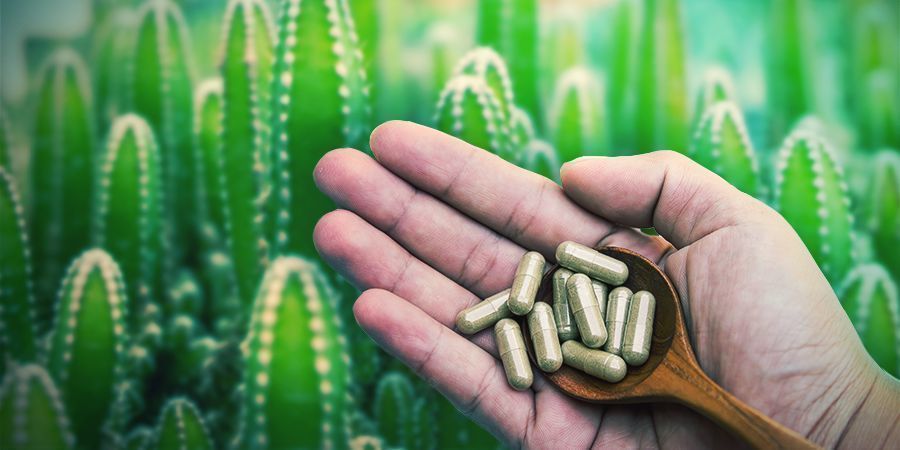Mescalina disponível em microdots ou microdoses