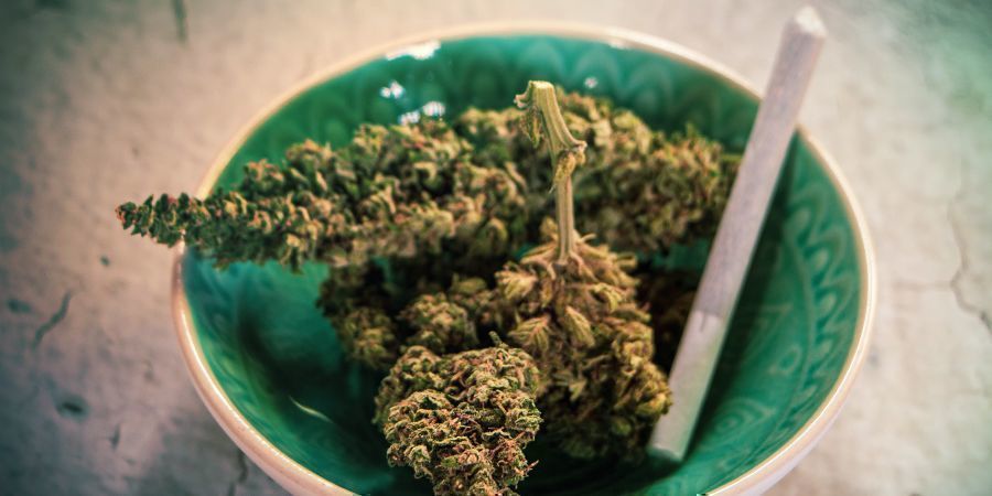 Posso fumar cannabis antiga?