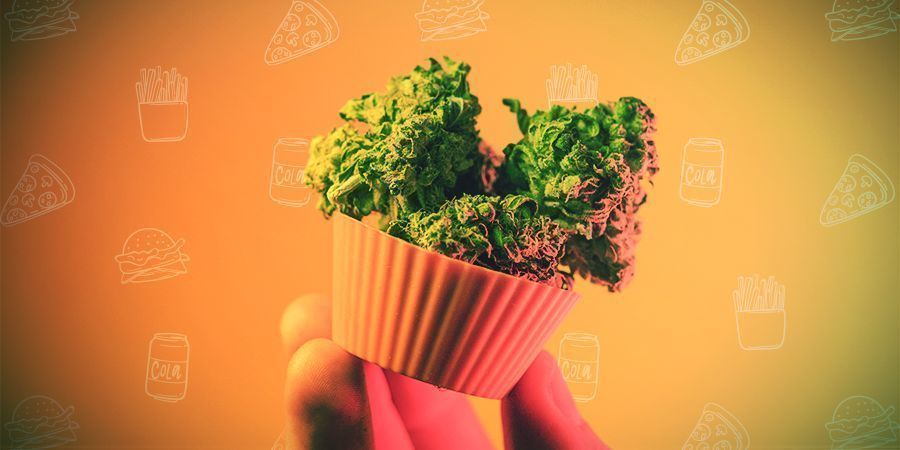 Como Dosear Comestíveis de Cannabis