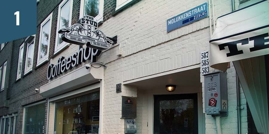 The Stud Coffeeshop Amsterdam - Melhor Flor Indica