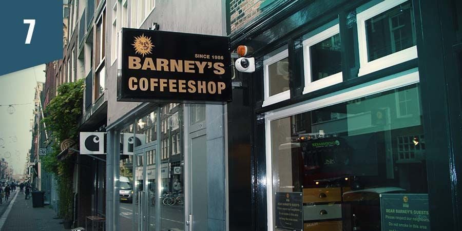 Barney's Coffeeshop Amsterdam - Melhor flor índica