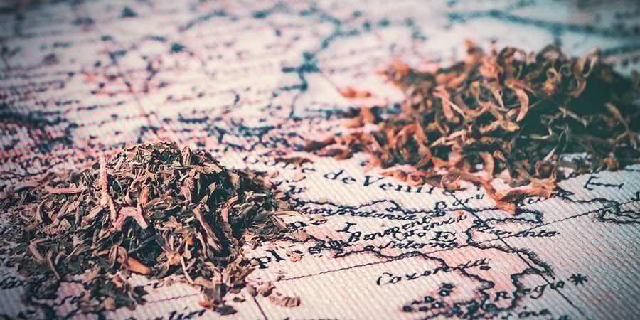 História das Dagga