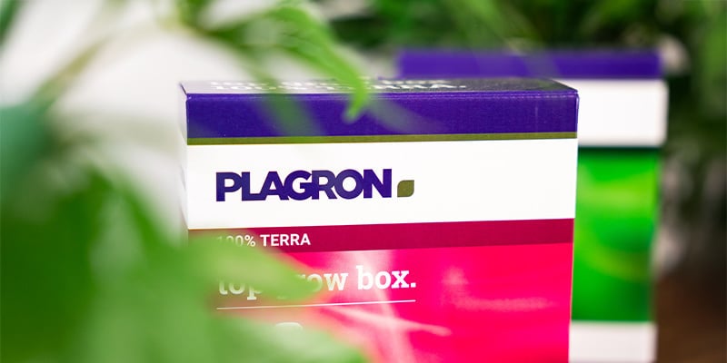 Plagron: Quem São e O Que Fazem?
