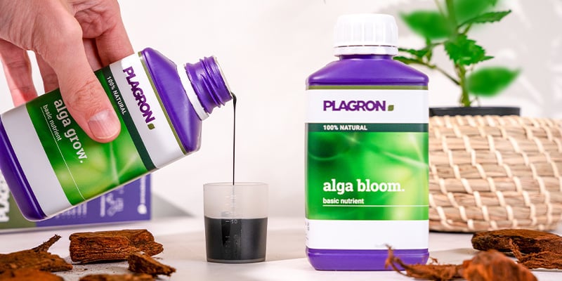 O que é o Plagron Top Grow Box e porque deve usá-lo?