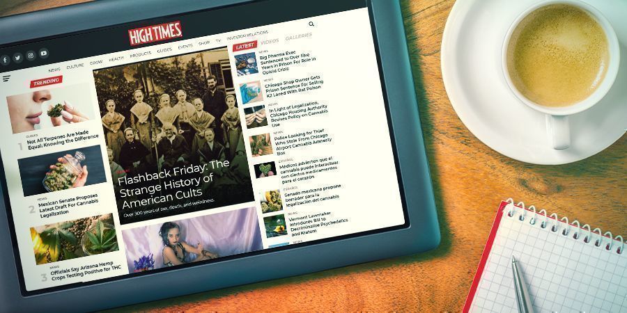 Subscreva newsletters e blogs