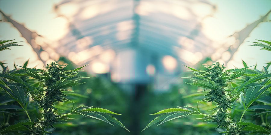 Os sistemas de irrigação podem ser usados no interior e no exterior?