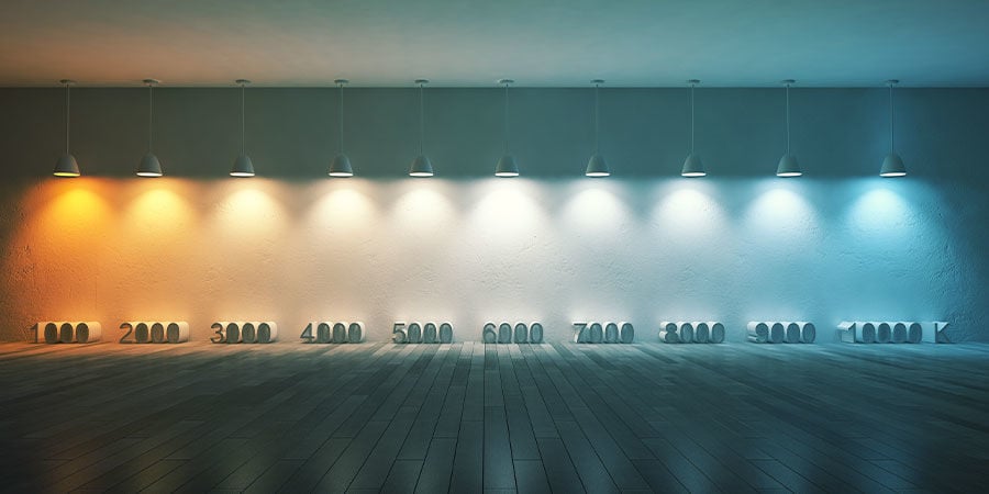 Quanta luz devem receber os teus cogumelos mágicos?