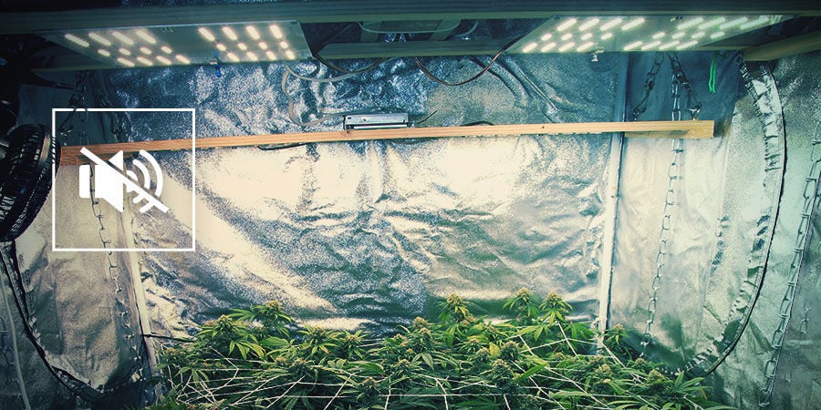Reduzir o ruído na sua sala de cultivo de canábis
