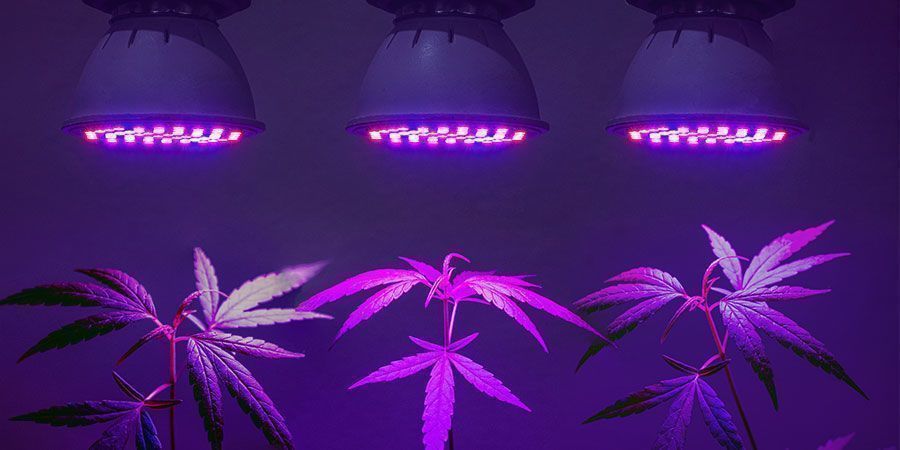 Encontre a solução de iluminação mais eficiente