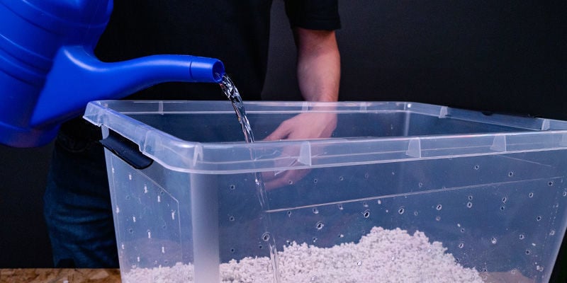 Adicionar água - Shotgun Fruiting Chamber Para Cogumelos