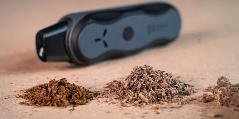 Vaporizador de erva – tenha atenção ao aspeto e textura