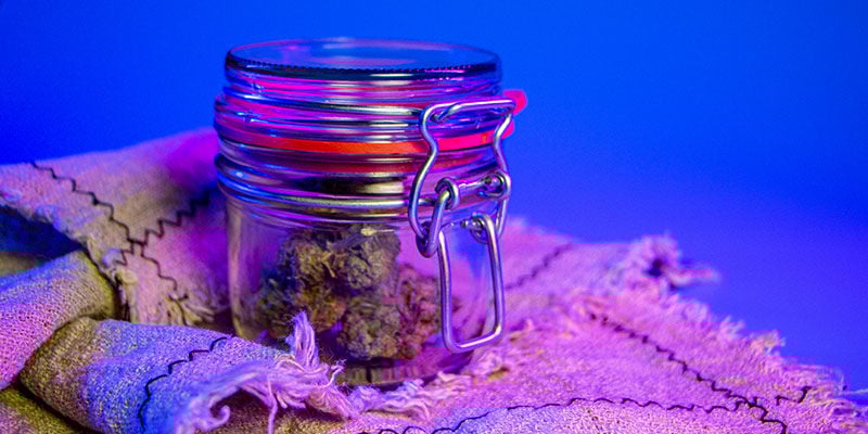 Recipientes de Cura para Cannabis