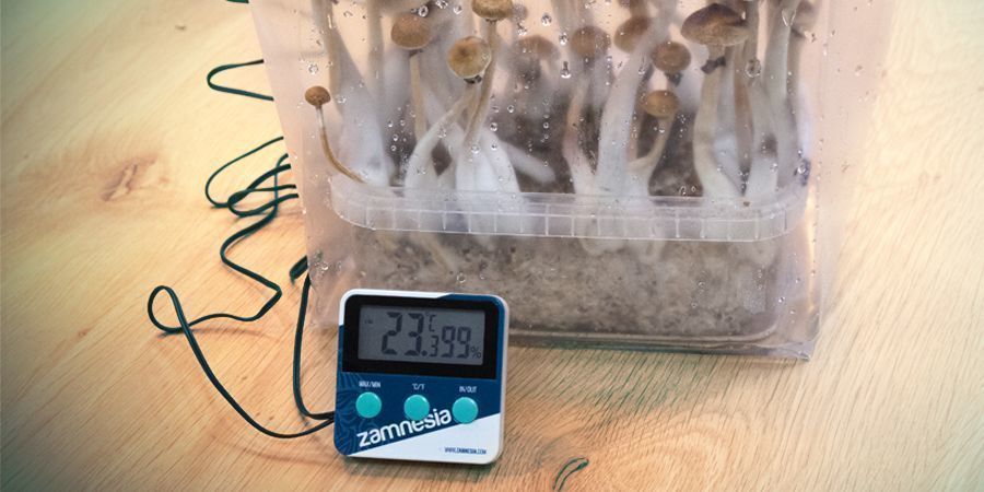 CERTIFIQUE-SE DE QUE OS NÍVEIS DE HUMIDADE ESTÃO CORRECTOS