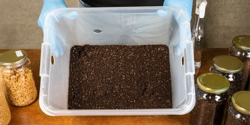 Qual o tamanho ideal do recipiente para monotub?