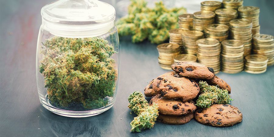 Gastar Demasiado Dinheiro em Cannabis