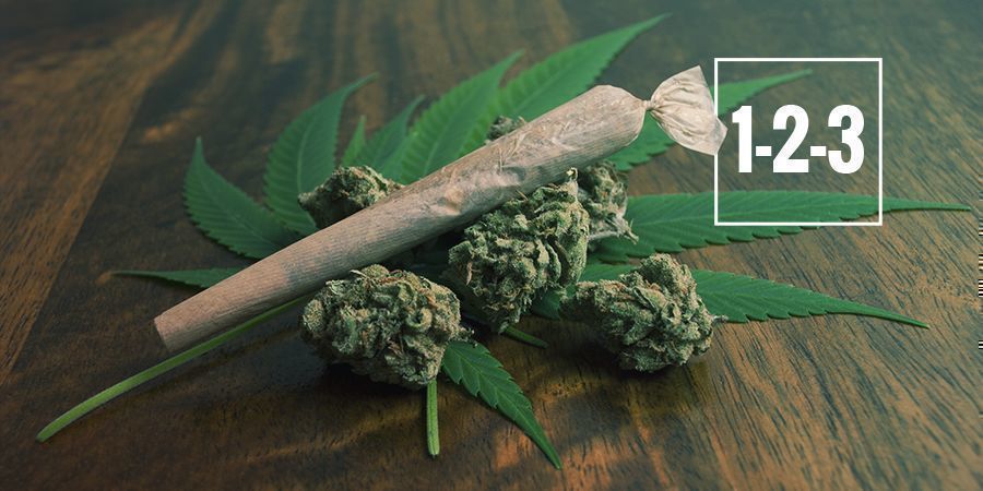 DEPENDÊNCIA DA CANNABIS — TRÊS FASES DA DEPENDÊNCIA