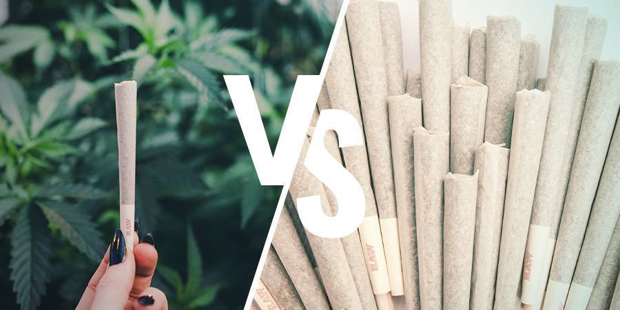 DEPENDÊNCIA VS ABUSO DE CANNABIS