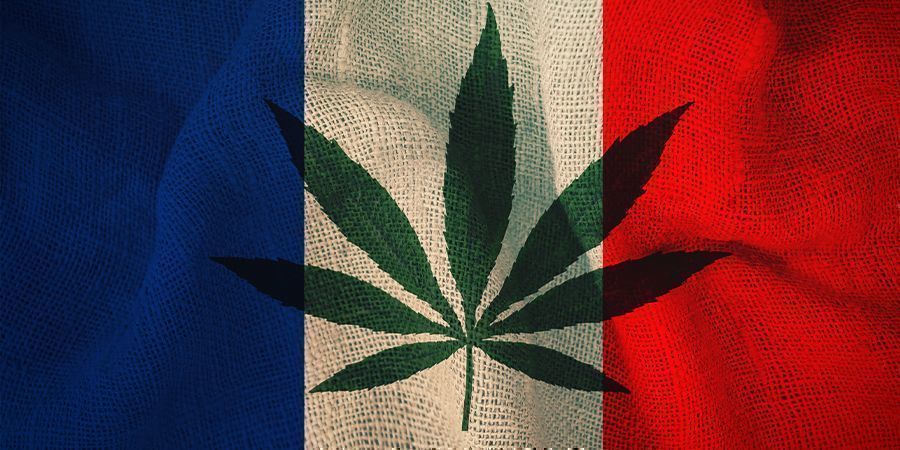 França e canábis: O plano do comité